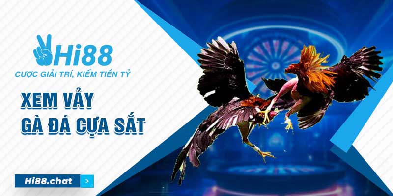 Hướng Dẫn Xem Vảy Gà Đá Cựa Sắt Đầy Đủ Dành Cho Các Kê Thủ 5 xem vảy gà cựa sắt