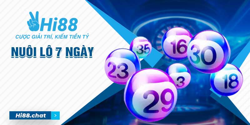 Nuôi Lô 7 Ngày - Bật Mí Kinh Nghiệm Đầu Tư Hiệu Quả 6 nuôi lô 7 ngày